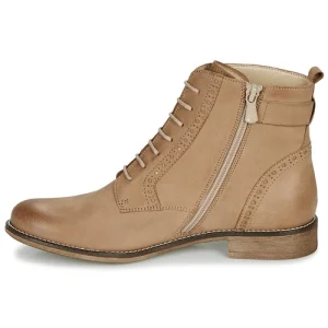 Authentic Original licence André – CHEPTELA Camel 14