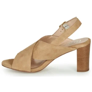 Betty London – MARIPOL Beige Couleurs variées 14