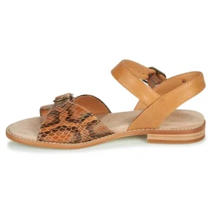 en ligne vente Karston – XABERO Camel / Python 14