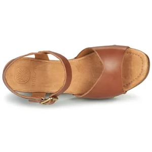 Authentic Original licence Unisa – TACO Camel 18