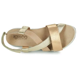 IgI&CO – 1675422 Beige / Doré Meilleur Prix Garanti 18